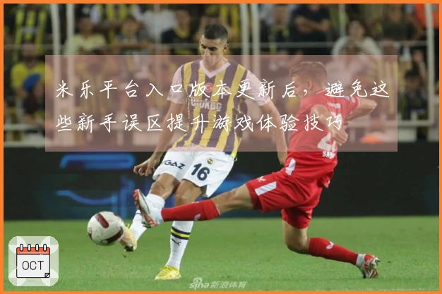 米乐平台入口版本更新后，避免这些新手误区提升游戏体验技巧